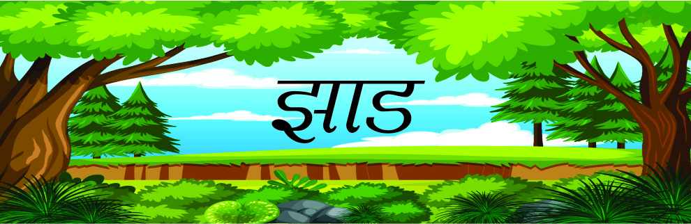 झाड