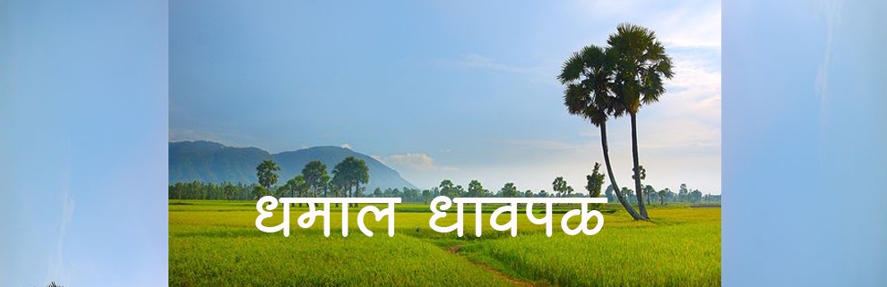 धमाल धावपळ