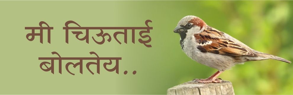 मी चिऊताई बोलतेय.. 