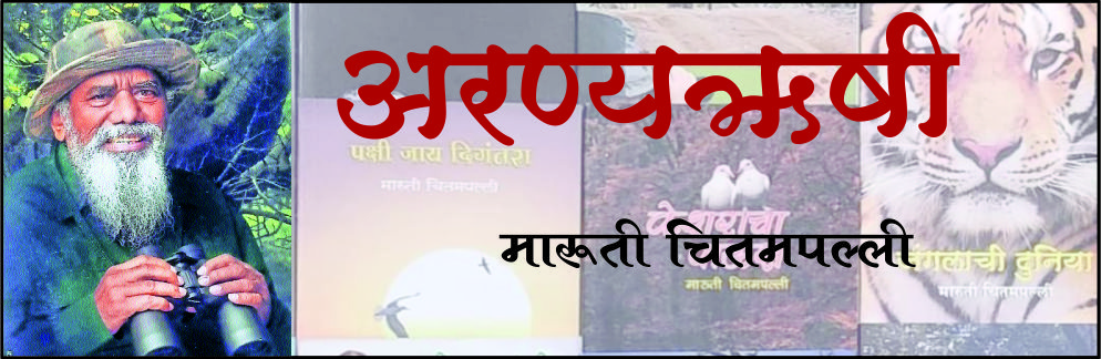 · मारुती चितमपल्ली · मारुती चितमपल्ली