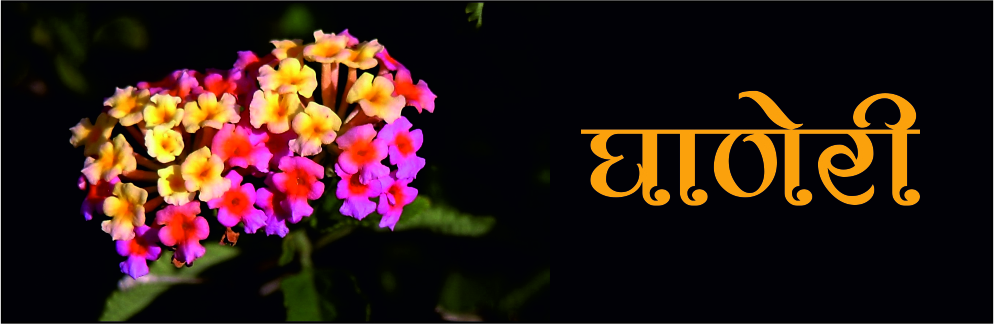 घाणेरी