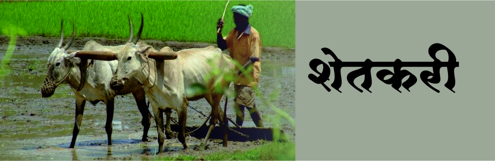 shetari