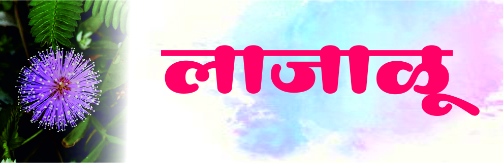लाजाळू